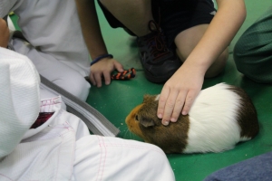 All of the kids love taking care of Brownie!